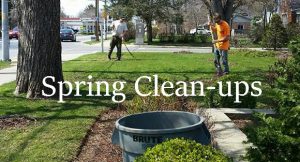 Verdalife Spring Cleanups