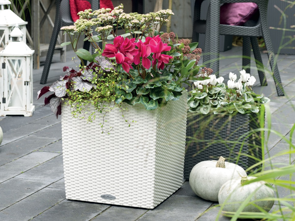 lechuza planter