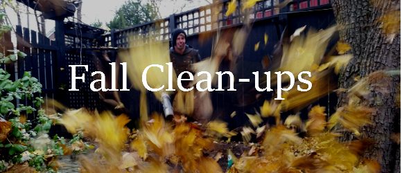 Verdalife Landscaping Fall Cleanups